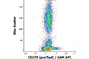 Flow cytometry surface staining pattern of human peripheral blood stained using anti-human CD279 (EH12. (PD-1 anticorps)