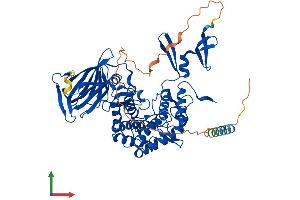 AlphaFold protein structure predicition of Mouse Recombinant Glce Protein, UniprotID Q9EPS3