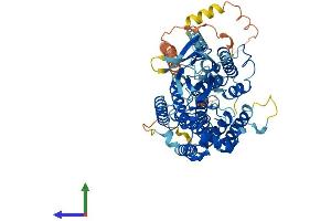 AlphaFold protein structure predicition of Human Recombinant HGSNAT Protein, UniprotID Q68CP4