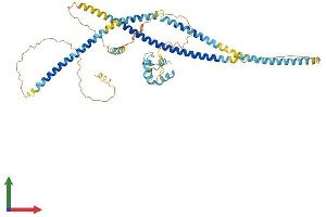 AlphaFold protein structure predicition of Mouse Recombinant Efcab14 Protein, UniprotID Q8BGQ6