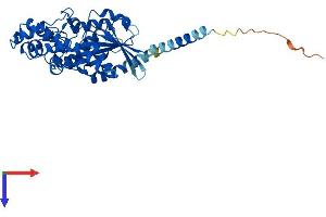 AlphaFold protein structure predicition of Mouse Recombinant Gna13 Protein, UniprotID P27601