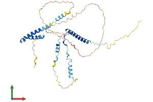 AlphaFold protein structure predicition of Human Recombinant POLR2M Protein, UniprotID P0CAP2
