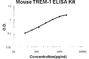 Mouse TREM-1 PicoKine ELISA Kit standard curve (TREM1 Kit ELISA)