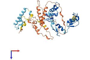AlphaFold protein structure predicition of Human Recombinant ZNF793 Protein, UniprotID Q6ZN11