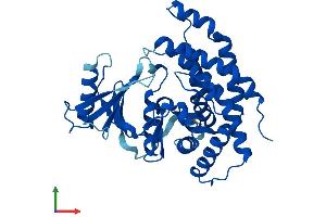 AlphaFold protein structure predicition of Mouse Recombinant Etnk1 Protein, UniprotID Q9D4V0
