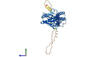 AlphaFold protein structure predicition of Human Recombinant ATP6V1C2 Protein, UniprotID Q8NEY4