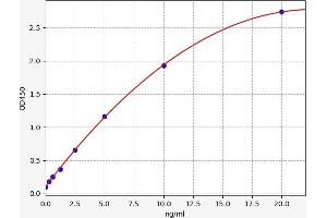 Typical standard curve (alpha-L-Fucosidase (Fuca) Kit ELISA)