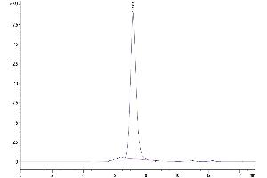 The purity of Biotinylated Human CD93/C1q R1 is greater than 95 % as determined by SEC-HPLC.