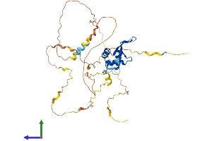 AlphaFold protein structure predicition of Mouse Recombinant Foxi1 Protein, UniprotID Q922I5