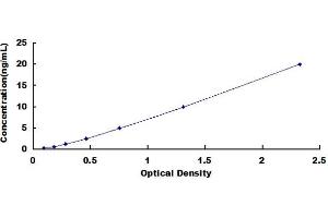 Cytochrome C Oxidase Subunit I (COX1) ELISA Kit