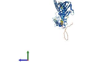 AlphaFold protein structure predicition of Mouse Recombinant Asic2 Protein, UniprotID Q925H0
