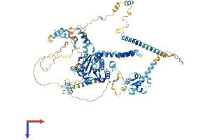 AlphaFold protein structure predicition of Human Recombinant FTSJ3 Protein, UniprotID Q8IY81