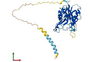 AlphaFold protein structure predicition of Human Recombinant B3GAT1 Protein, UniprotID Q9P2W7