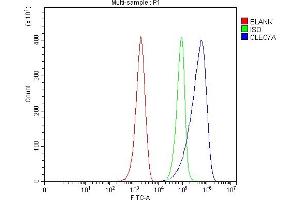 Flow Cytometry analysis of ANA-1 cells using anti-Dectin-1/Clec7a antibody (ABIN7600251).