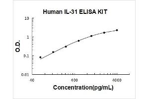 Interleukin 31 (IL31) ELISA Kit