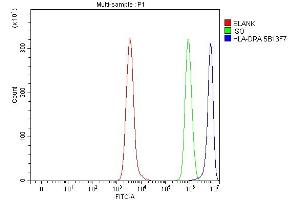 Flow Cytometry analysis of Daudi cells using anti-HLA-DRA antibody (ABIN7600949).