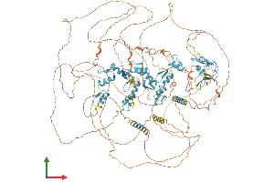 AlphaFold protein structure predicition of Mouse Recombinant Prdm16 Protein, UniprotID A2A935