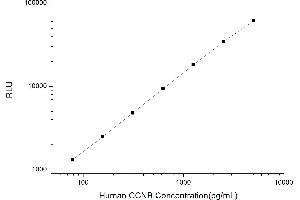 Typical standard curve (Cyclin B1 Kit CLIA)