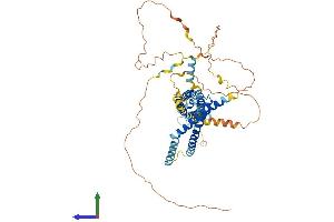 AlphaFold protein structure predicition of Mouse Recombinant Marveld2 Protein, UniprotID Q3UZP0