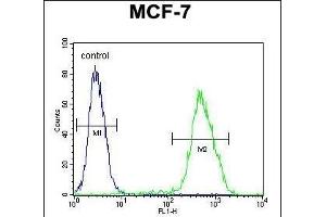 LMO4 Antibody (Center) (ABIN654714 and ABIN2844403) flow cytometric analysis of MCF-7 cells (right histogram) compared to a negative control cell (left histogram). (LMO4 anticorps  (AA 104-131))