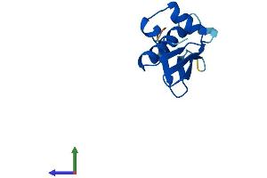 AlphaFold protein structure predicition of Mouse Recombinant Natd1 Protein, UniprotID Q9DBW3