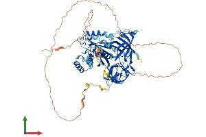AlphaFold protein structure predicition of Human Recombinant GSPT2 Protein, UniprotID Q8IYD1