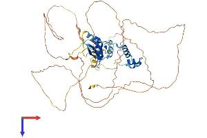 AlphaFold protein structure predicition of Mouse Recombinant Socs6 Protein, UniprotID Q9JLY0