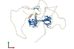 AlphaFold protein structure predicition of Human Recombinant APBB1 Protein, UniprotID O00213