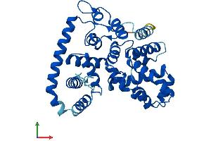 AlphaFold protein structure predicition of Mouse Recombinant Tbc1d21 Protein, UniprotID Q9D9D3