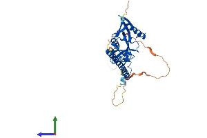 AlphaFold protein structure predicition of Human Recombinant RASSF2 Protein, UniprotID P50749