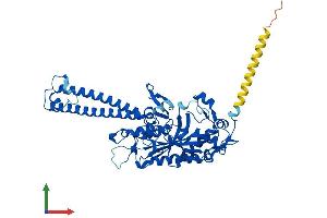 AlphaFold protein structure predicition of Human Recombinant SARS1 Protein, UniprotID P49591