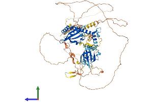 AlphaFold protein structure predicition of Human Recombinant ARNT2 Protein, UniprotID Q9HBZ2