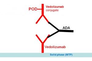 Image no. 1 for Vedolizumab Antibody ELISA Kit (ABIN5519325) (Vedolizumab Antibody Kit ELISA)