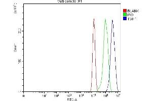 Flow Cytometry analysis of PC-3 cells using anti-TGIF/TGIF1 antibody (ABIN7600959).
