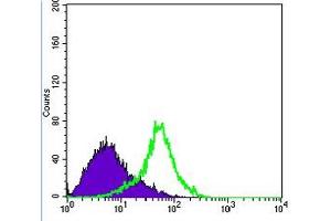 Flow Cytometry (FACS) image for anti-Metadherin (MTDH) antibody (ABIN1108306)