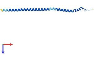 AlphaFold protein structure predicition of Human Recombinant ATP6V1G2 Protein, UniprotID O95670