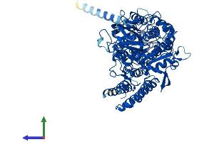 AlphaFold protein structure predicition of Mouse Recombinant Naaladl1 Protein, UniprotID Q7M758