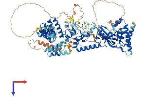 AlphaFold protein structure predicition of Mouse Recombinant Lonrf3 Protein, UniprotID Q9D4H7