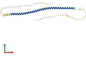 AlphaFold protein structure predicition of Human Recombinant SYCE2 Protein, UniprotID Q6PIF2