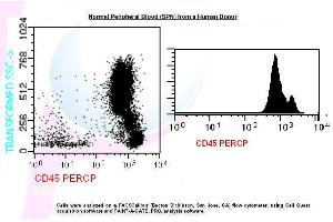 Image no. 1 for anti-Protein tyrosine Phosphatase, Receptor Type, C (PTPRC) antibody (PerCP) (ABIN1112156)