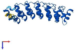 AlphaFold protein structure predicition of Human Recombinant PSMD10 Protein, UniprotID O75832