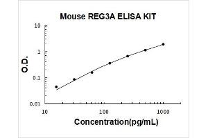 Typical Standard Curve