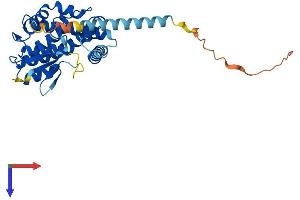 AlphaFold protein structure predicition of Human Recombinant MTX3 Protein, UniprotID Q5HYI7