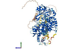 AlphaFold protein structure predicition of Human Recombinant MGAT5B Protein, UniprotID Q3V5L5