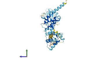 AlphaFold protein structure predicition of Mouse Recombinant Moap1 Protein, UniprotID Q9ERH6