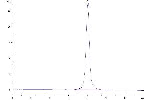 The purity of Mouse CD160 is greater than 95 % as determined by SEC-HPLC.