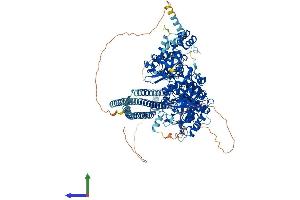 AlphaFold protein structure predicition of Human Recombinant PLCB2 Protein, UniprotID Q00722