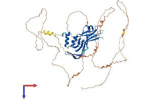 AlphaFold protein structure predicition of Human Recombinant TBX4 Protein, UniprotID P57082