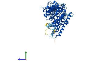 AlphaFold protein structure predicition of Human Recombinant CYP1B1 Protein, UniprotID Q16678