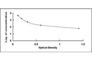 Image no. 1 for D-Dimer ELISA Kit (ABIN1873346)